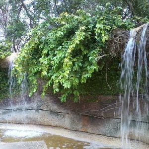 Meet your Posher, Bj